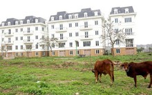 Làn sóng cắt lỗ thứ cấp tăng mạnh ở các phân khúc