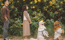 Cầm 180 triệu về Đà Lạt mở quán cafe: Nhà cửa có sẵn, thu nhập tăng một nửa nhưng không được phép quên 3 điều!