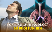 Loại rau bổ phổi tự nhiên, càng ăn nhiều càng thải độc phổi hiệu quả: Người hút thuốc rất cần biết