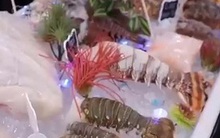 Gần 20 doanh nghiệp Việt tham gia Hội chợ Thủy sản Bắc Mỹ