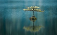 4 sai lầm ‘đặt dấu chấm hết’ cho tài lộc, danh vọng: Đợi 40 tuổi mới nhìn thấu, e là muộn rồi!