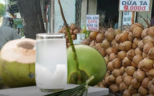 Dừa tươi đang rẻ, mua về vừa giải khát vừa tẩm bổ nhưng lưu ý có bệnh này thì đừng uống