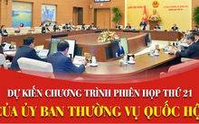 Ủy ban Thường vụ Quốc hội họp xem xét phê chuẩn bổ nhiệm, miễn nhiệm nhân sự