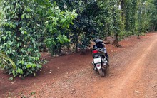 Từng mua 1 triệu đồng mỗi m2 đất vườn, tưởng hốt bạc hoá ra nhà đầu tư “cầm hơi” qua ngày