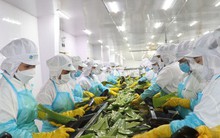 5 nhóm ngành nào được vay vốn lãi suất ưu đãi?