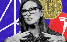 Mặc nhà đầu tư “cháy tài khoản” hơn 10 tỷ USD, một quỹ ETF vẫn hiên ngang "ẵm" hơn 300 triệu USD phí quản lý