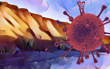 Cảnh báo sự hồi sinh của virus "thây ma" 48.500 năm trong băng vĩnh cửu ở Bắc Cực