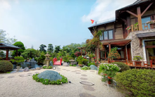 Thú chơi cây bạc tỷ của sếp FPT: Trồng cả “hạm đội thông Nhật”, đặt cây tùng 450 năm tuổi ngoài lối đi cho mọi người thoải mái chụp ảnh