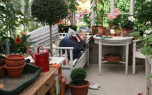 Khu vườn phủ kín rau quả sạch của người phụ nữ bắt đầu làm vườn từ năm 10 tuổi