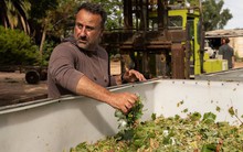 "Đặt hết trứng vào giỏ Trung Quốc", một nước không biết bán rượu vang cho ai khi Bắc Kinh bất ngờ quay lưng