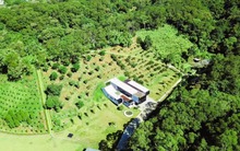 Doanh nhân 54 tuổi "bỏ phố về quê", mua trọn ngọn đồi 30.000m2 để ở ẩn: Mất vài năm để mua xong đất, xây biệt thự "không mái" giành huy chương vàng trong cuộc thi thiết kế nội thất