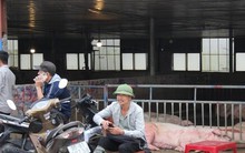 Giá heo hơi thấp kỷ lục kể từ năm 2020, chợ đầu mối gia súc vắng hoe