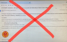 Tổng cục Thuế cảnh báo lừa đảo cập nhật CCCD và mất phí hàng triệu đồng