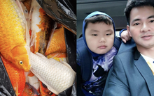 Đi công tác về thì phát hiện con trai cưng làm chết bể cá Koi đắt tiền, Xuân Bắc có phản ứng bất ngờ
