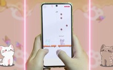 Game nuôi mèo "Duet Cats" của startup Việt Amanotes đang khuấy đảo thị trường game âm nhạc Mỹ như thế nào?
