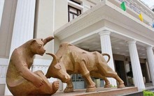 Thanh khoản chứng khoán tháng 2 sụt giảm, giao dịch khối ngoại chiếm hơn 12% tổng giá trị thị trường