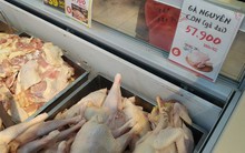 Thịt gà trong nước dư thừa, gà nhập khẩu vẫn cao