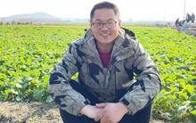 Bỏ nghề giáo, người đàn ông về quê thuê 70 mẫu đất trồng rau: Kiếm 5,8 tỷ đồng/năm, không quên làm 1 điều này mỗi ngày