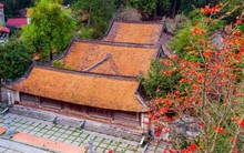 Ngôi chùa nghìn năm tuổi ở Hà Nội nên thơ với sắc đỏ hoa gạo