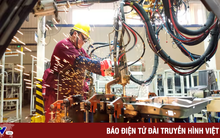 "Xây tổ đón đại bàng" khi thuế không còn là lợi thế?