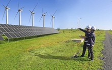 Cánh đồng điện gió đầu tư hàng nghìn tỷ đồng... 'nằm bất động’