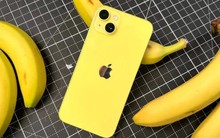 Chuyên gia châu Âu: Hãy tránh xa mẫu iPhone này của Apple, trừ phi gặp giá hời!