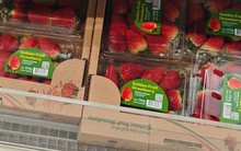 Vì sao dâu tây Hàn Quốc, Nhật Bản giá bạc triệu vẫn bán chạy?