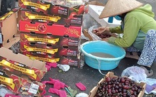 Sự thật về cherry siêu rẻ bao ngon