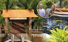 Biệt phủ của đại gia Vĩnh Long làm từ 4000 cây dừa, hồ cá Koi cũng trang trí từ gỗ dừa, độc lạ nhất miền Tây