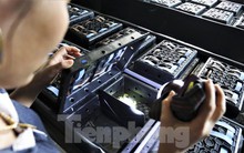 Tận thấy trại nuôi cua biển trong hộp nhựa đầu tiên ở Hà Tĩnh