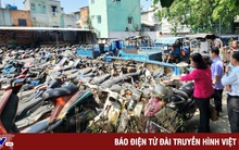 TP Hồ Chí Minh đấu giá xe vi phạm, giá khởi điểm 500.000 đồng/xe