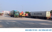 XNK qua cửa khẩu Móng Cái tăng 166% so với cùng kỳ năm ngoái