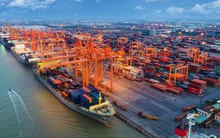 Cảng biển Việt Nam có lượng lưu thông hàng hóa và cho phép tiếp cận tàu container lớn nhất thế giới