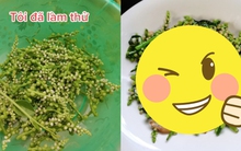 Hết ngọn đu đủ lại đến quả mồng tơi trở thành trend ăn uống khiến dân mạng rần rần: Phen này cây mồng tơi "tới số" rồi!