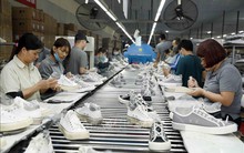 Hoàn thiện hệ thống tiêu chuẩn của Việt Nam hài hòa với thông lệ quốc tế