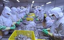 Nhiều cơ hội cho hàng Việt Nam xuất khẩu sang Israel - Bài 1: Sản phẩm xuất khẩu của Việt Nam có nhiều lợi thế