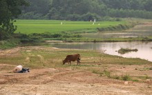 Cận cảnh dự án trăm tỷ nguồn ADB thi công ì ạch ở Quảng Trị