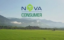 Nova Consumer lên kế hoạch lợi nhuận giảm 70%, bán mảng gà để cắt lỗ