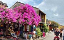 Thường trực Chính phủ: Nâng thời gian lưu trú với khách quốc tế lên 45 ngày