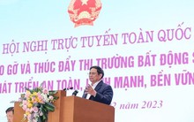 Thủ tướng yêu cầu NHNN chỉ đạo phân loại dự án BĐS để giãn nợ, cơ cấu lại nợ