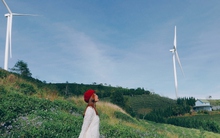 Những điểm check-in đẹp nhất khi đến Đà Lạt mùa xuân