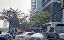 Đề xuất giãn chu kỳ đăng kiểm