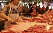 Giá thịt lợn hơi xuống dưới 50.000 đồng/kg