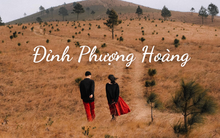 Có một 'Đà Lạt mùa cỏ cháy' ngay tại miền Bắc không phải ai cũng biết