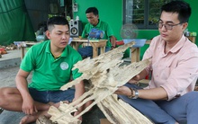 Quảng Nam: Vỡ nợ vì 3 lần khởi nghiệp thất bại, ôm nợ 200 triệu, chàng trai về quê tìm "vàng" trong thân cây rồi đổi đời từ đó