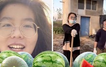 Từ bỏ tấm bằng thủ khoa đại học cùng mức lương khủng, cô gái vẫn quyết "bỏ phố về quê" trồng dưa với thu nhập bằng 1/10 lương cũ vì một lý do