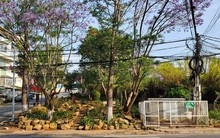 Doanh nghiệp đề xuất làm khách sạn có bãi đáp trực thăng ở Đà Lạt