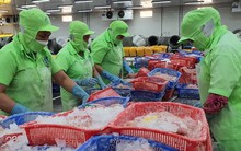 Lý do xuất khẩu thủy sản ‘lao dốc’