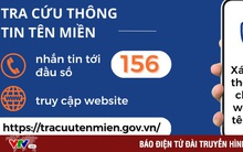 Hướng dẫn tra cứu tên miền an toàn qua đầu số 156