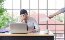 Công việc IT này được dự báo sẽ 'lên ngôi' năm 2023 mặc làn sóng sa thải đang diễn ra